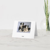Blinde briefkaart voor Collie Puppy Dog (Achterkant)