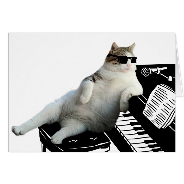 Blinde kattenpianist (Voorkant Horizontaal)