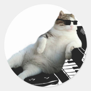 Blinde kattenpianist ronde sticker