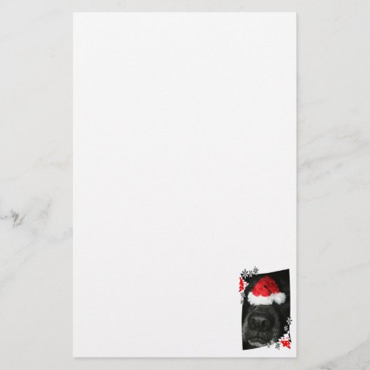 Blindehondenneus met kerstfoto briefpapier (Voorkant)