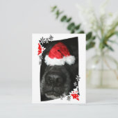 Blindehondenneus met kerstfoto feestdagenkaart (Staand voorkant)