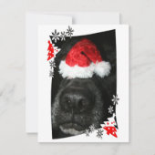 Blindehondenneus met kerstfoto feestdagenkaart (Voorkant)