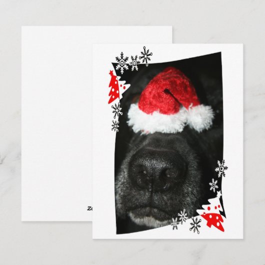 Blindehondenneus met kerstfoto feestdagenkaart (Voorkant / Achterkant)