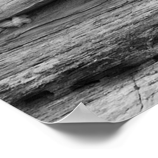 Blindenlandschap Foto van zwarte en witte Zion Bon Poster (Hoek)