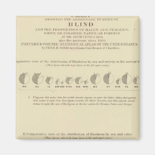 Blindheid, statistische Amerikaanse lithograaf 187 Magneet