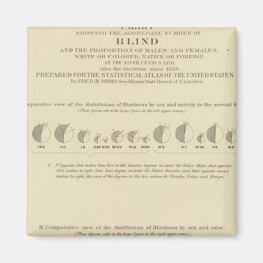 Blindheid, statistische Amerikaanse lithograaf 187 Magneet (Voorkant)