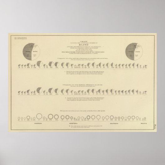 Blindheid, statistische Amerikaanse lithograaf 187 Poster (Voorkant)