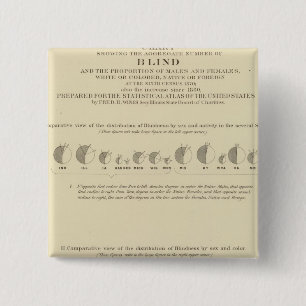 Blindheid, statistische Amerikaanse lithograaf 187 Vierkante Button 5,1 Cm