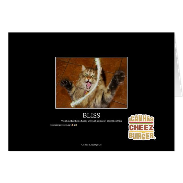 Bliss (Voorkant Horizontaal)