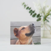 Bliss Briefkaart (Staand voorkant)