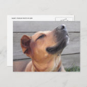 Bliss Briefkaart (Voorkant / Achterkant)