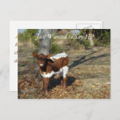 Bliss Briefkaart-pas aan Briefkaart (Voorkant / Achterkant)