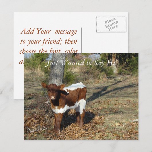 Bliss Briefkaart-pas aan Briefkaart (Voorkant / Achterkant)