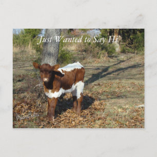 Bliss Briefkaart-pas aan Briefkaart