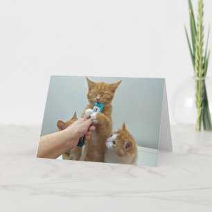 "Bliss" - Huey en zijn favoriete traktatie Kaart