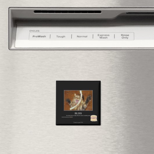 Bliss Magneet (Insitu (Vaatwasser))