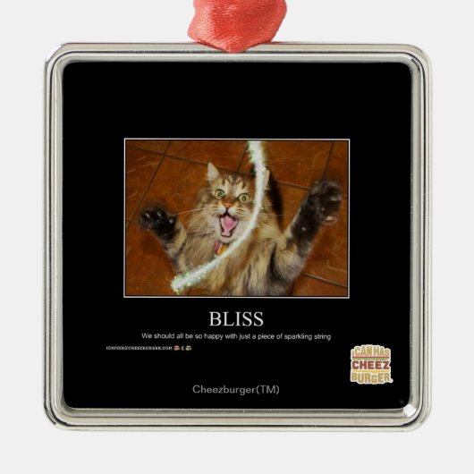 Bliss Metalen Ornament (Voorkant)