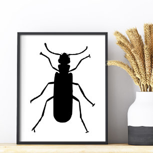 Blister Beetle Silhouette Foto Afdruk