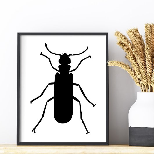 Blister Beetle Silhouette Foto Afdruk