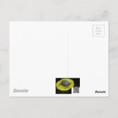 Blisterverpakking - Meloidae Briefkaart (Achterkant)