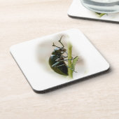 Blisterverpakking - Meloidae Drankjes Onderzetter (Linkerzijde)