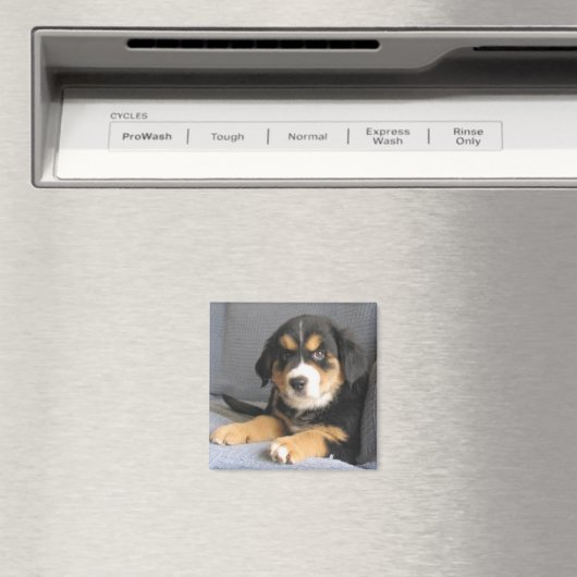 Blitzen Magneet (Insitu (Vaatwasser))