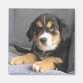 Blitzen Magneet (Voorkant)