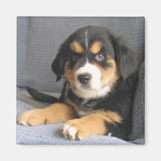 Blitzen Magneet (Voorkant)