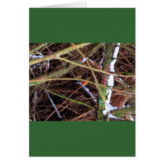 Blizzard Bird CB (Voorkant)