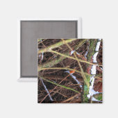 Blizzard Bird CB Magneet (Voorkant / Achterkant)