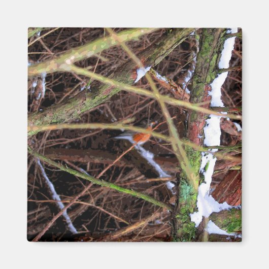 Blizzard Bird CB Magneet (Voorkant)