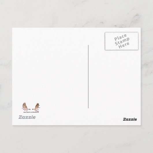 Blizzard Briefkaart (Achterkant)