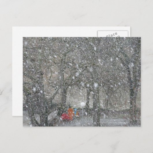 Blizzard Forest Briefkaart (Voorkant / Achterkant)