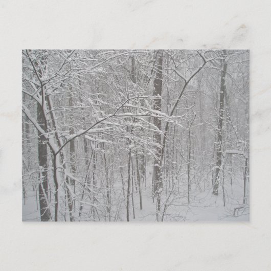 Blizzard in februari 2010 briefkaart (Voorkant)