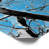 Blizzard Squirel B+W Poster (Hoek)