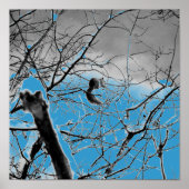 Blizzard Squirel B+W Poster (Voorkant)
