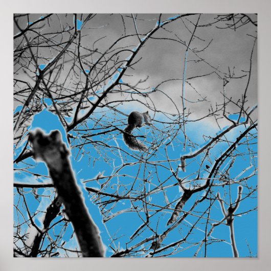 Blizzard Squirel B+W Poster (Voorkant)