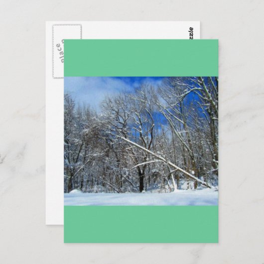 Blizzard Trees Oil Briefkaart (Voorkant / Achterkant)