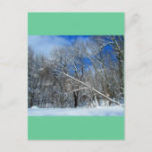 Blizzard Trees Oil Briefkaart (Voorkant)