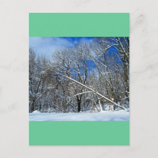 Blizzard Trees Oil Briefkaart (Voorkant)