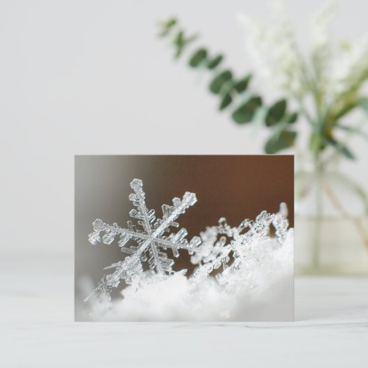 Blizzard van 2009 briefkaart (Staand voorkant)