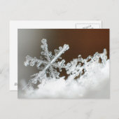 Blizzard van 2009 briefkaart (Voorkant / Achterkant)