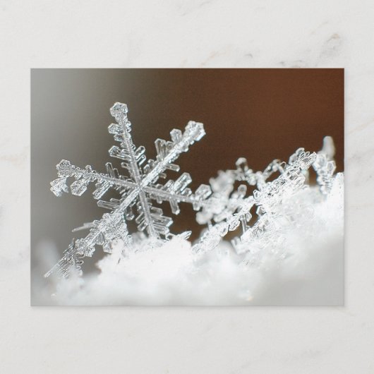 Blizzard van 2009 briefkaart (Voorkant)