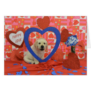 Blizzard Week 6 Foto