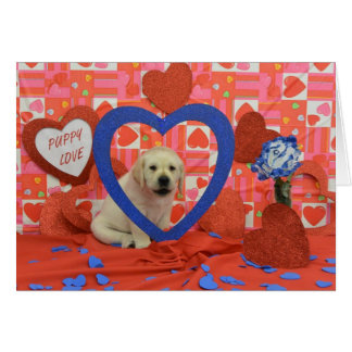 Blizzard Week 6 Foto