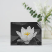 Blk & Whit Water lily Briefkaart (Staand voorkant)