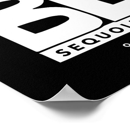 BLM-ontwerp - 1e plaats - Ayana Sakamoto Poster (Hoek)