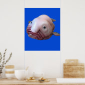 Blob Fish Poster (Keuken)