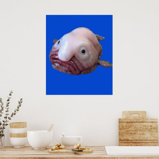 Blob Fish Poster (Keuken)