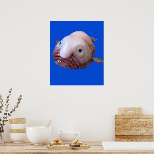 Blob Fish Poster (Keuken)